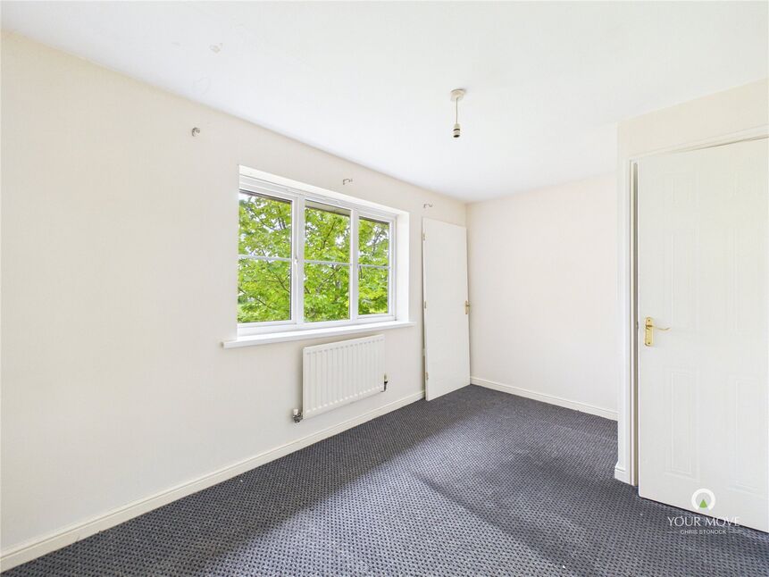 Image 8