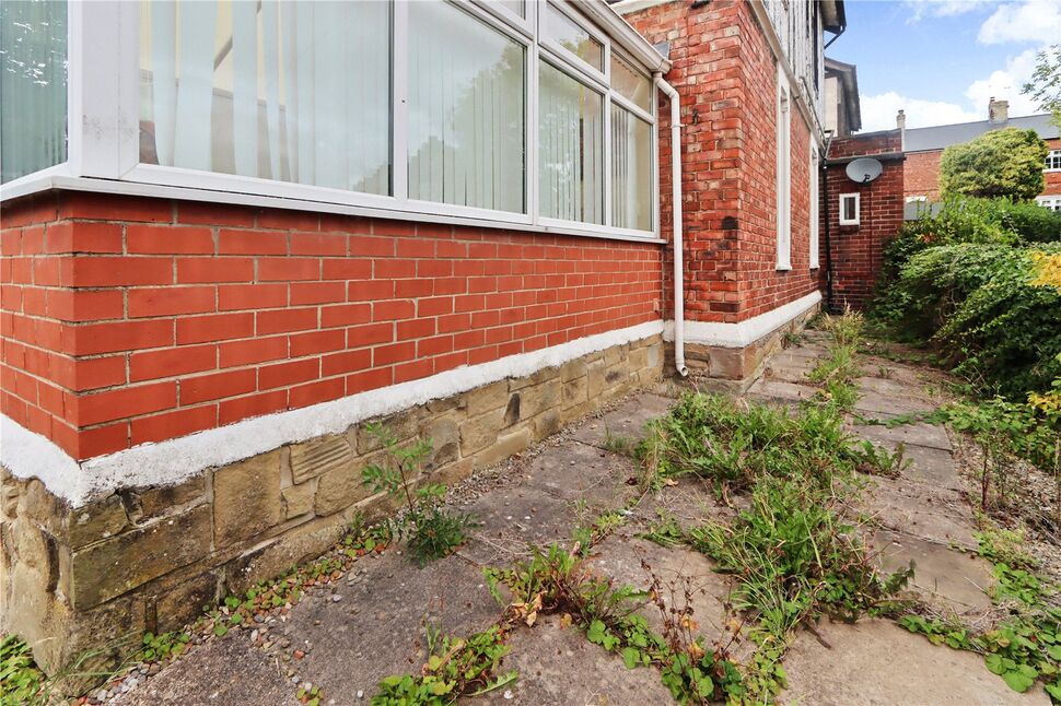 Image 15