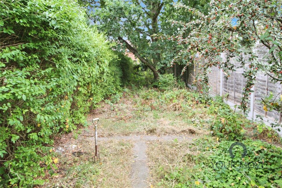 Image 20