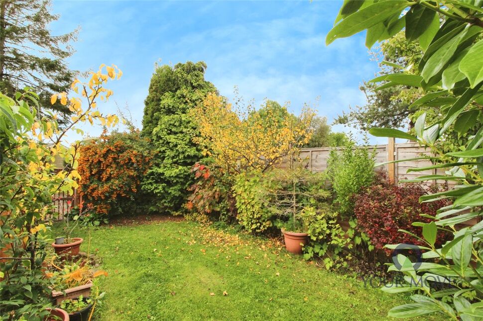 Image 21