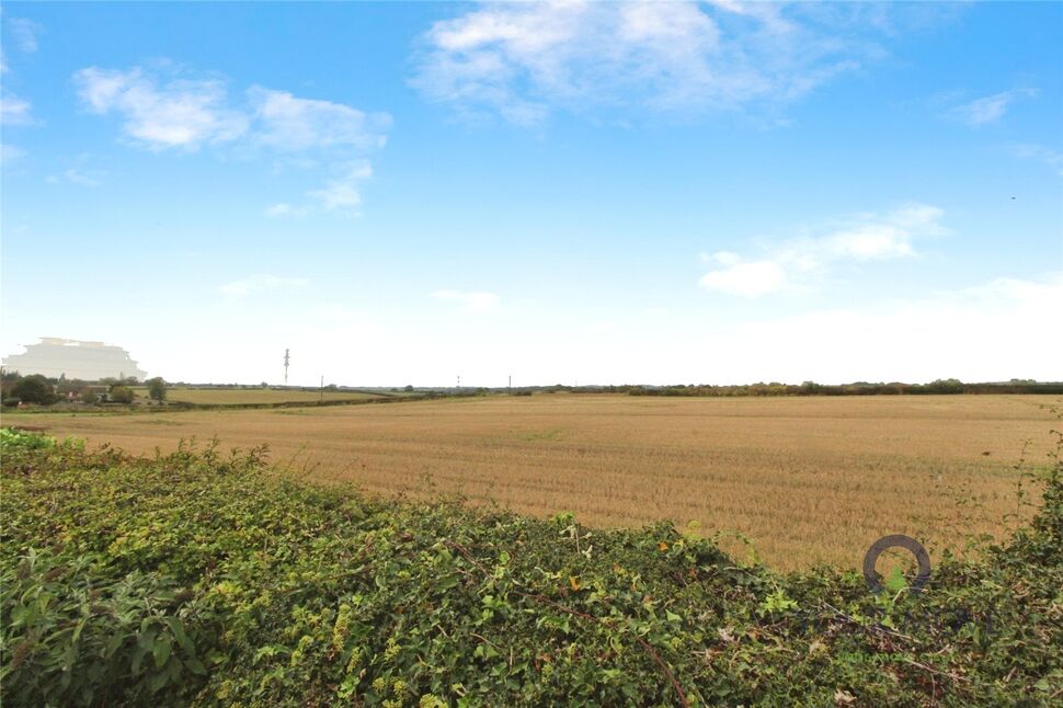 Image 31