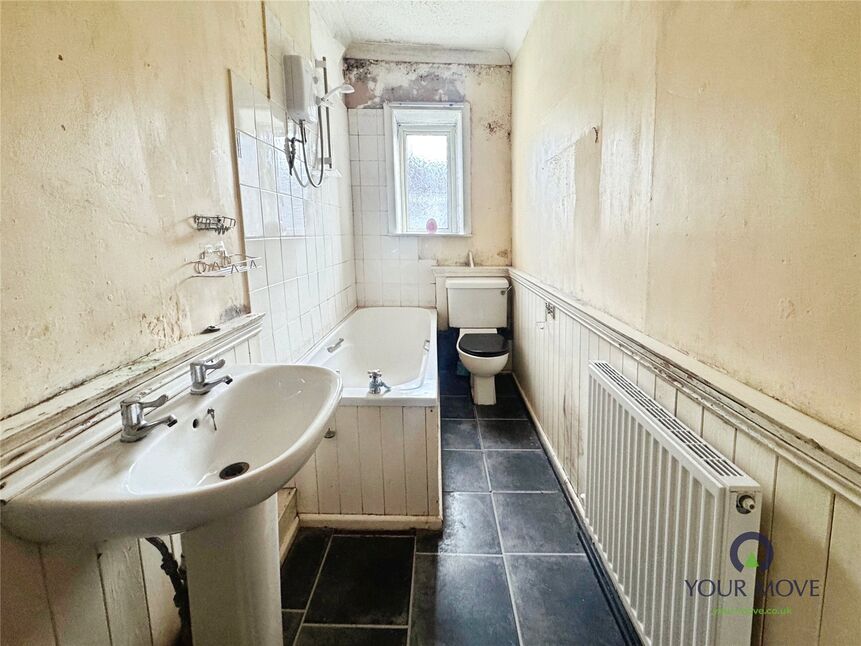 Image 8