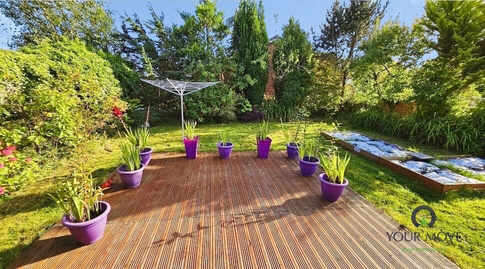 Image 16