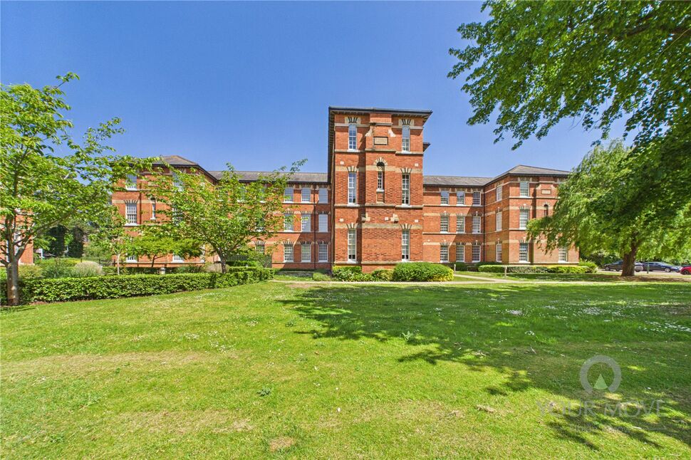 Image 15