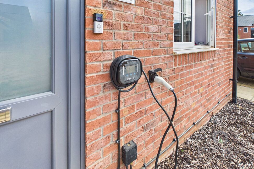 Image 20