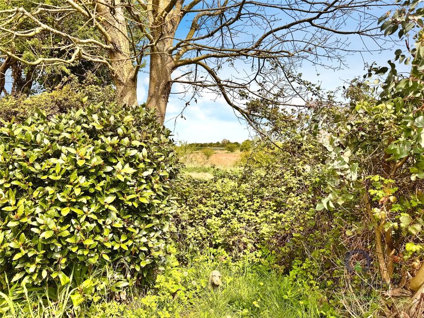 Image 14