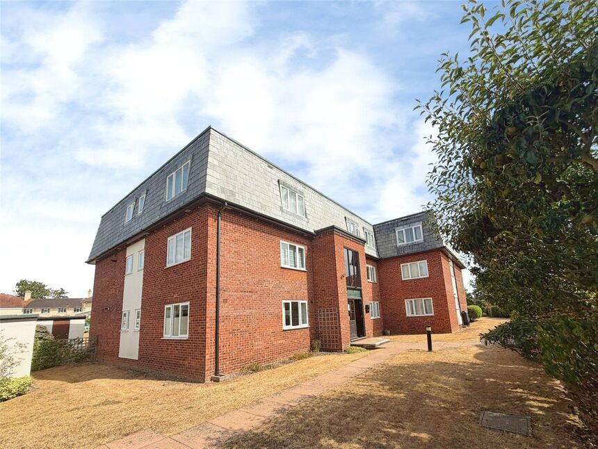 Image 15