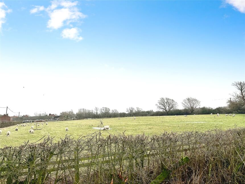 Image 16