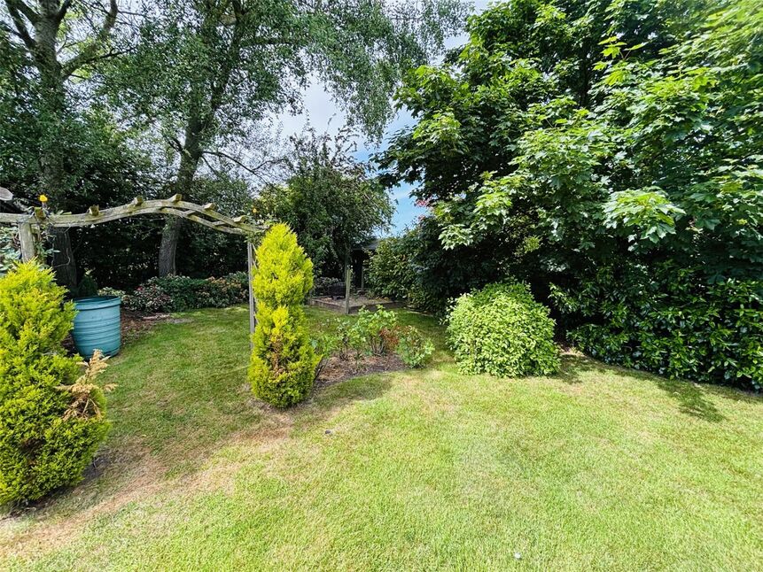 Image 20