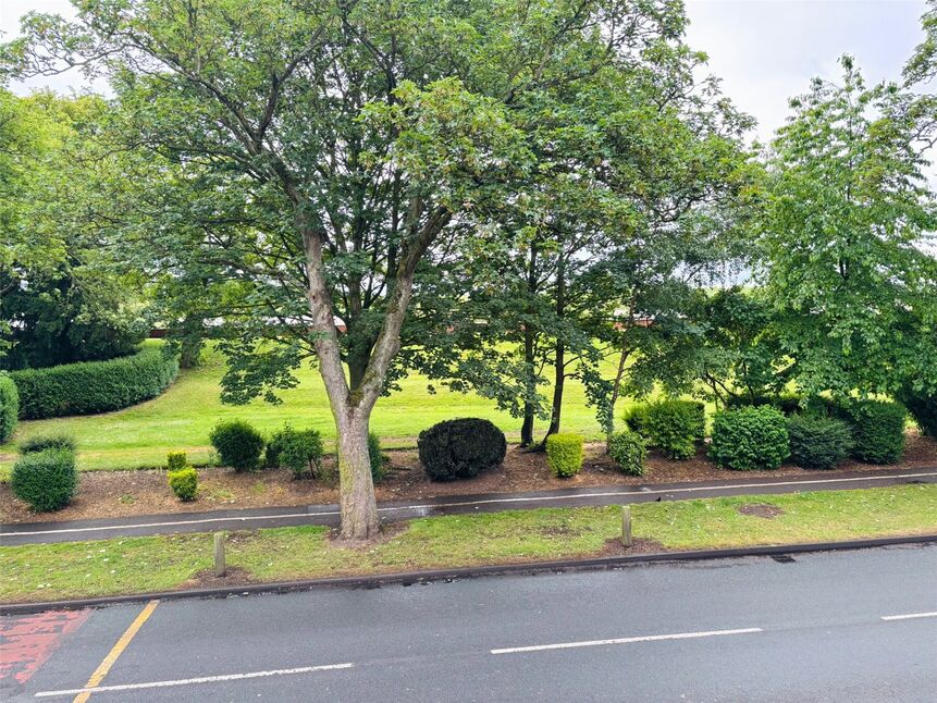 Image 14