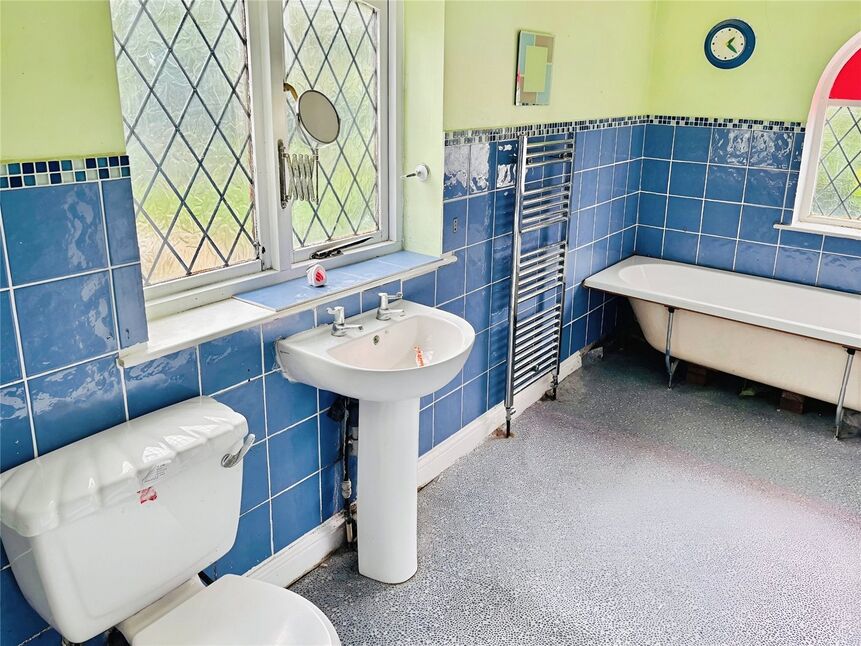Image 11
