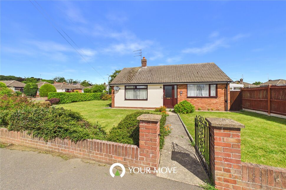 Image 16