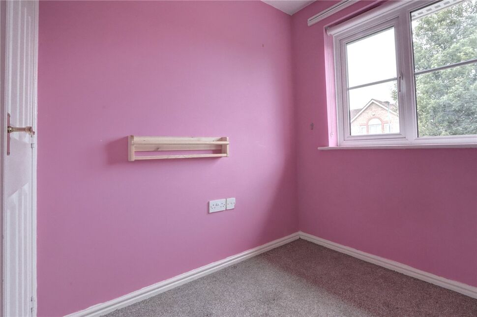 Image 8
