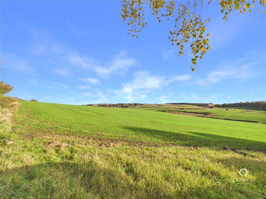 Image 20