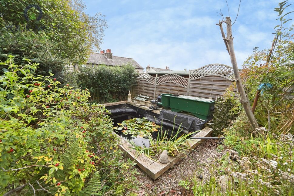 Image 22
