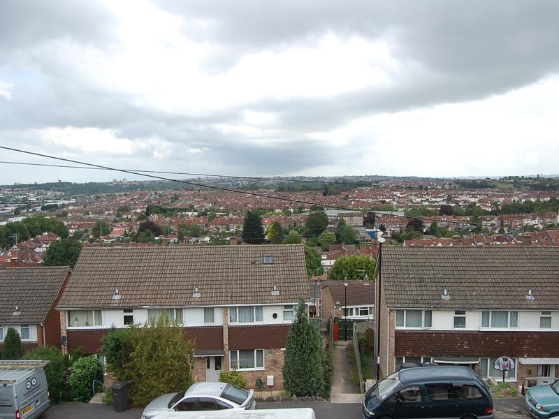 Image 12