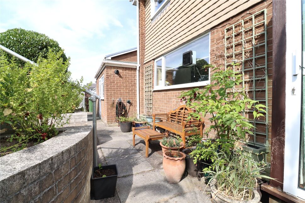 Image 21