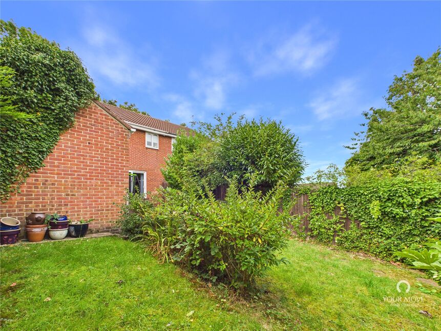 Image 21