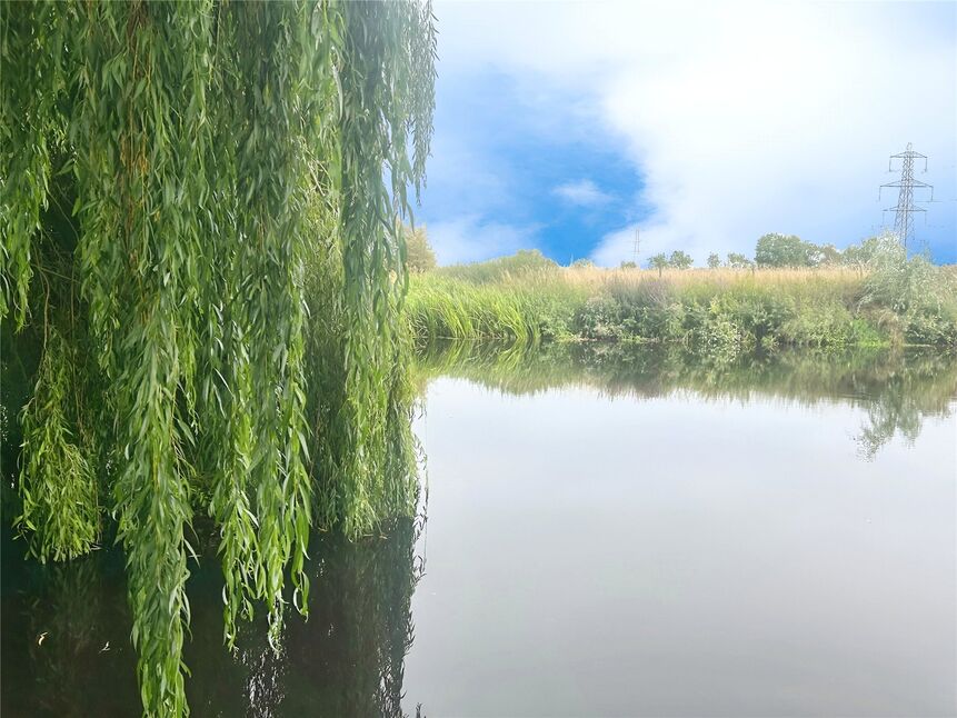 Image 17