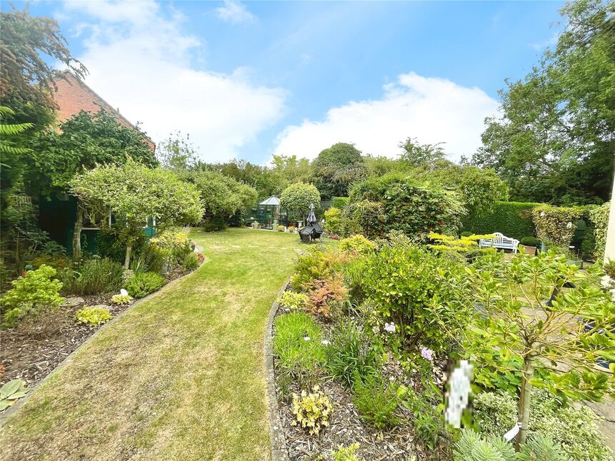 Image 15