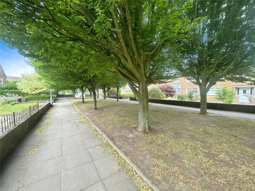 Image 13