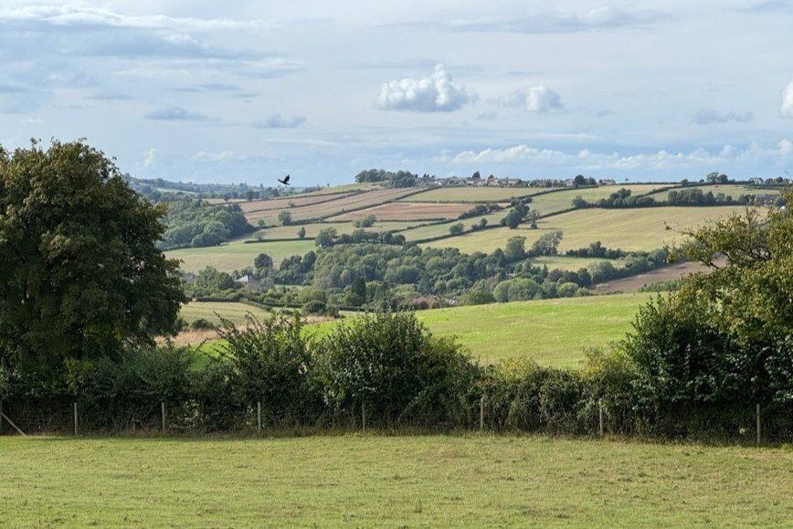 Image 32