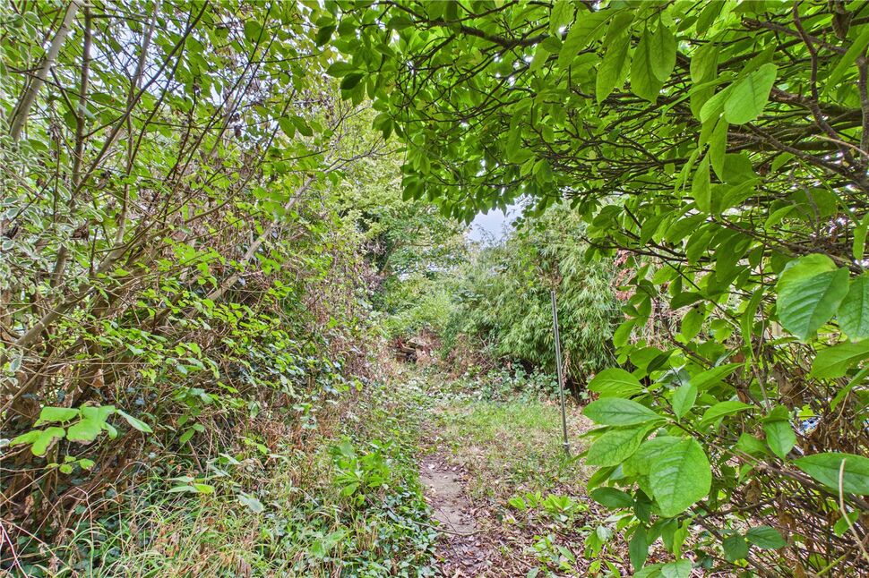 Image 18