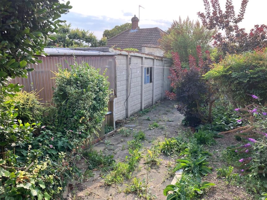 Image 12