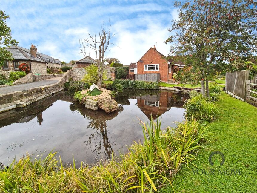 Pond