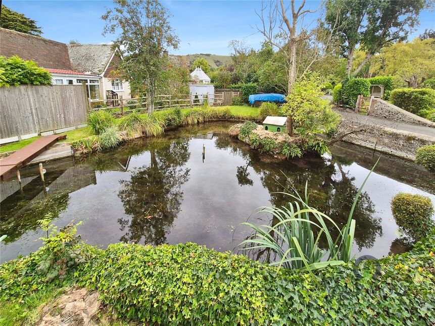 Pond
