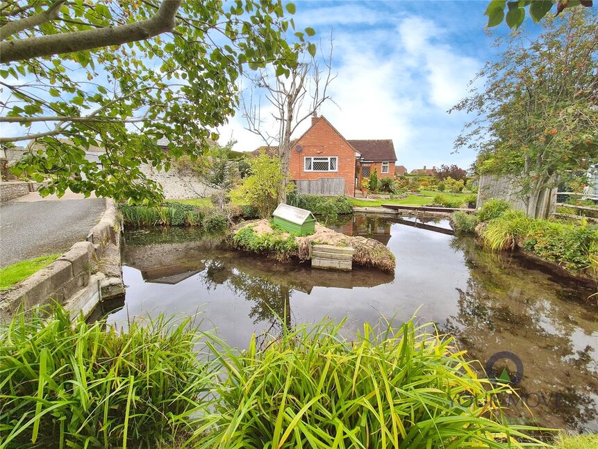 Pond