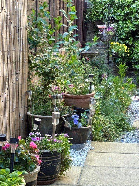 Image 13