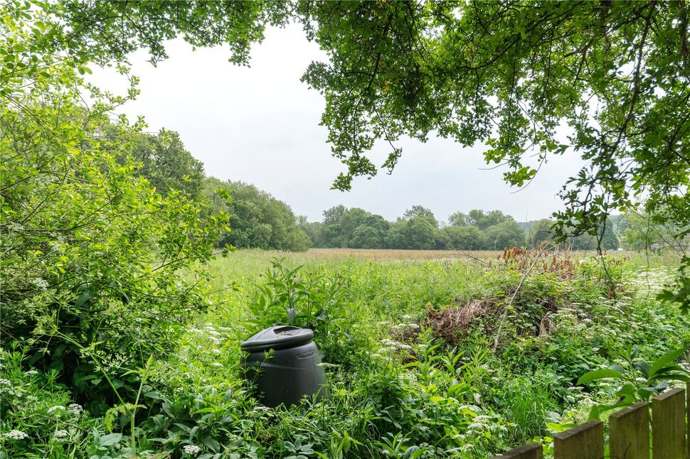 Image 17
