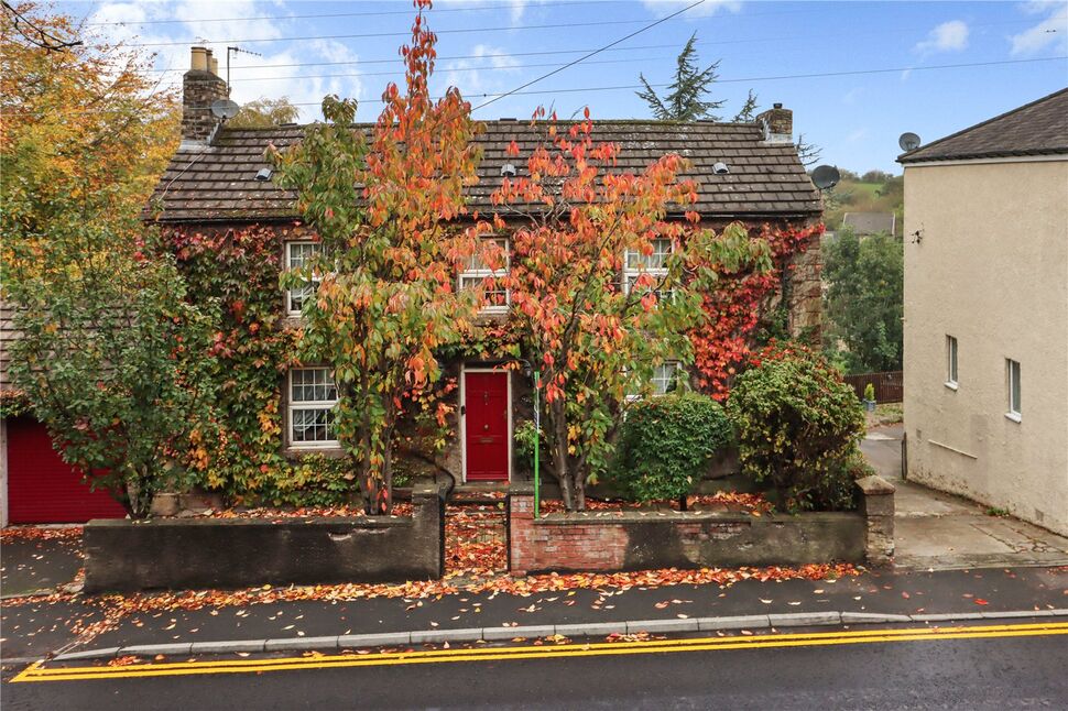 Image 20