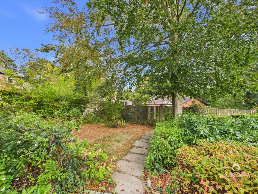 Image 31