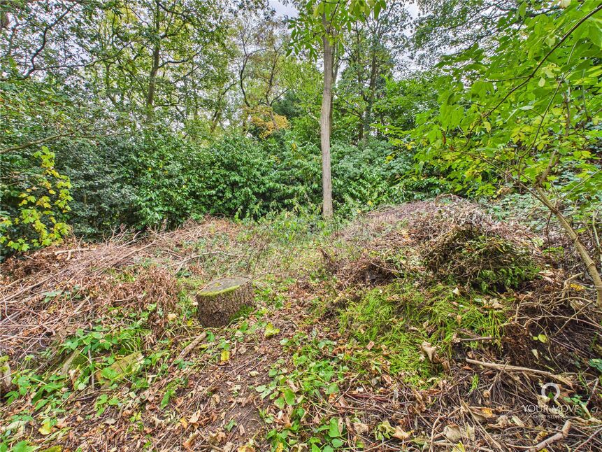 Image 29