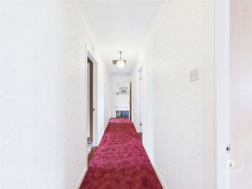 Image 15
