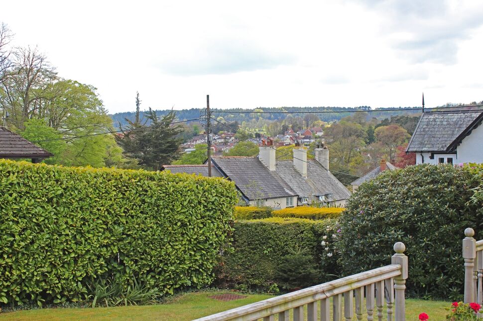 Image 15
