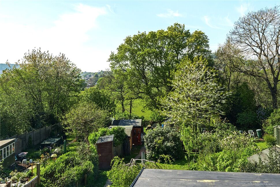 Image 20