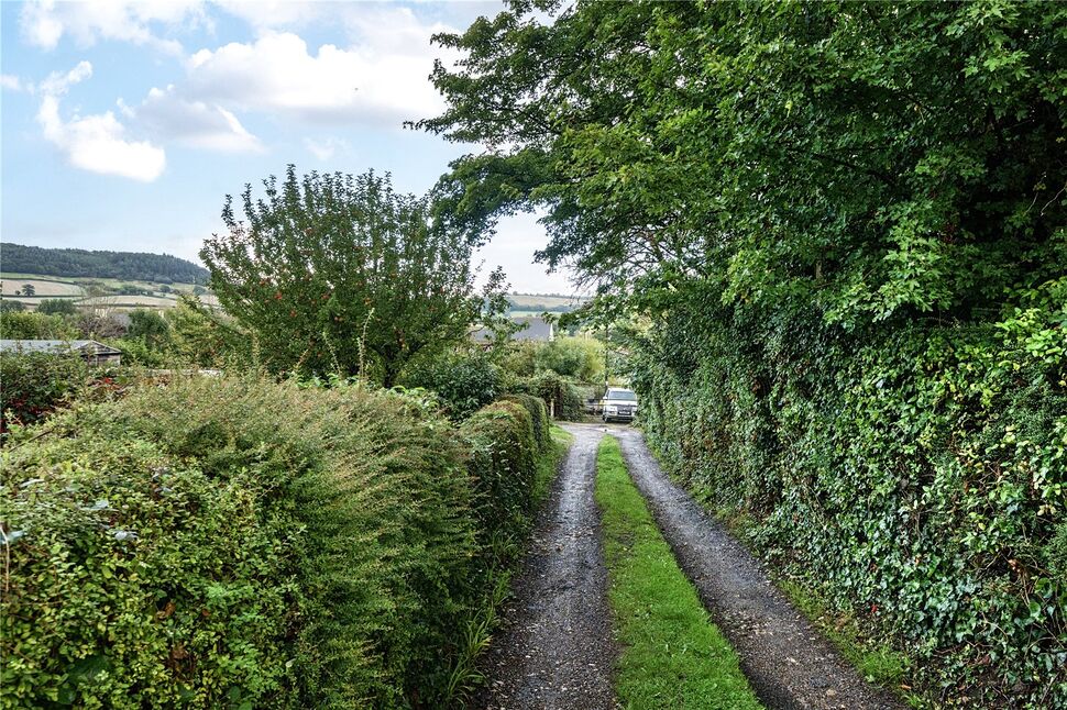 Image 15
