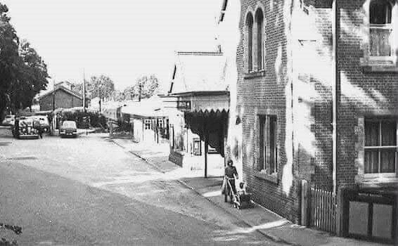 Image 19