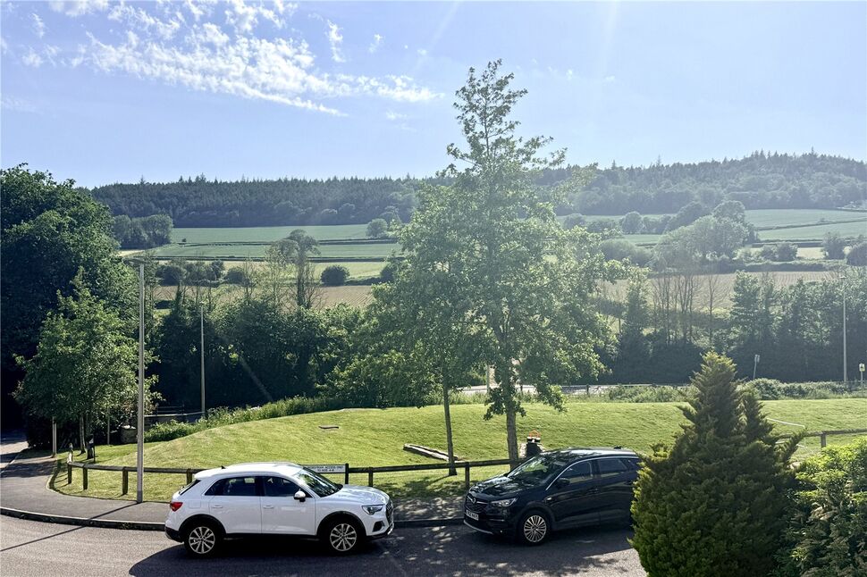 Image 10