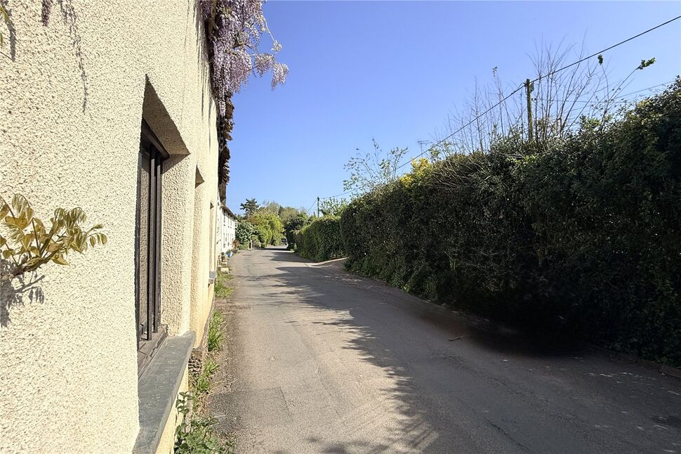 Image 14