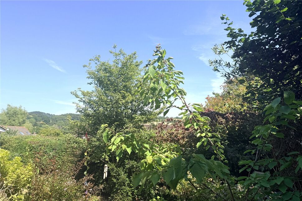 Image 16