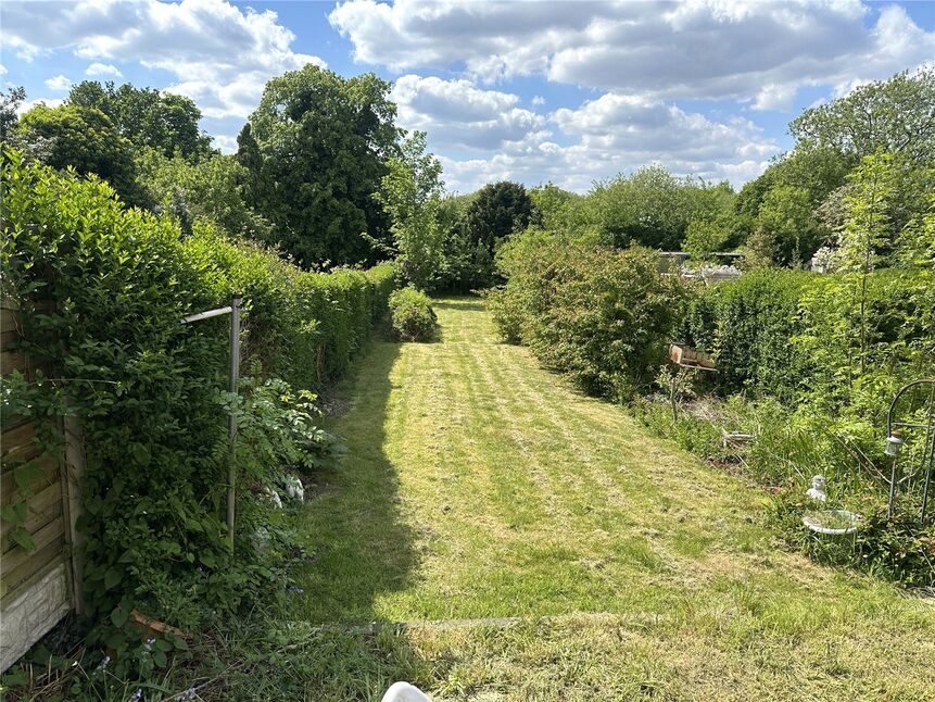 Image 16