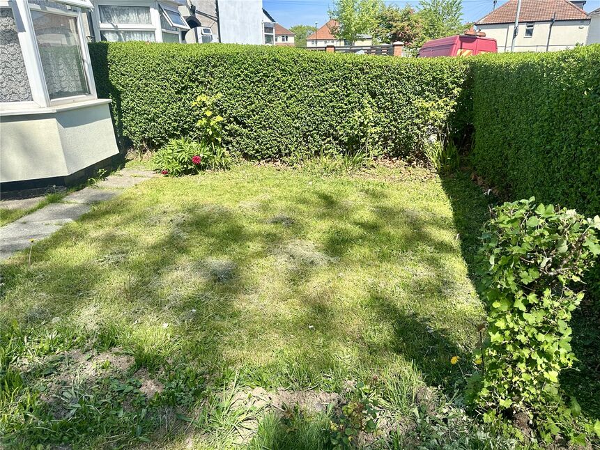 Image 15