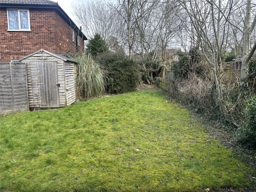 Image 12