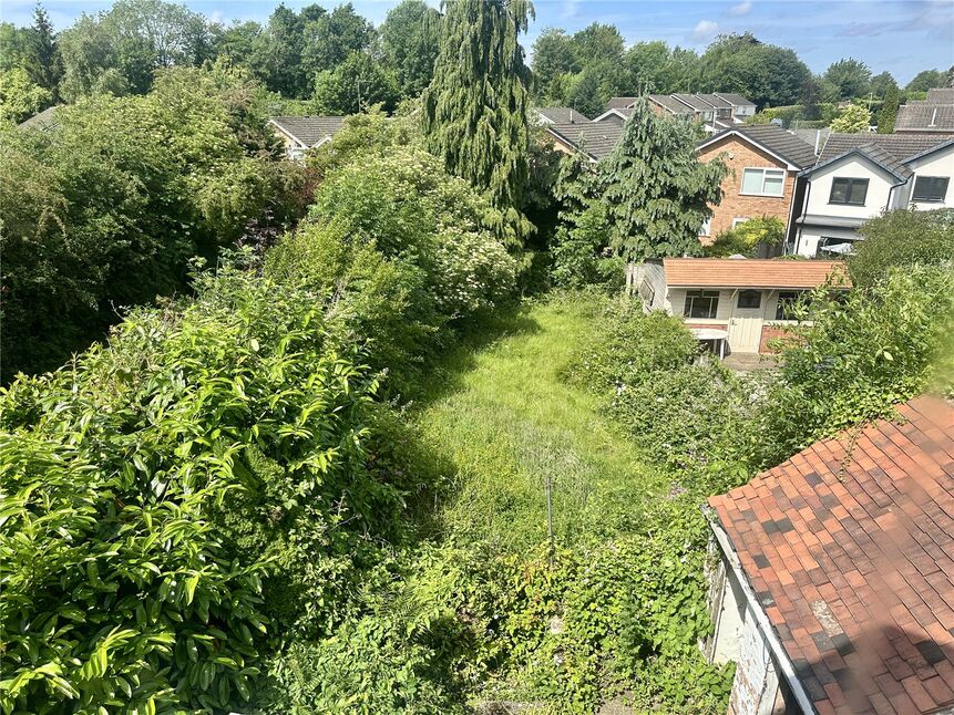 Image 11