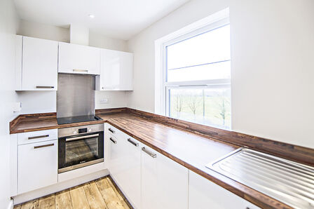 1 bedroom  Flat to rent
