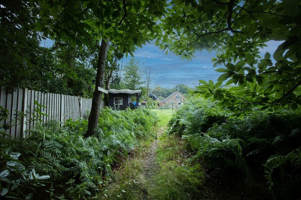 National Popcorn Day